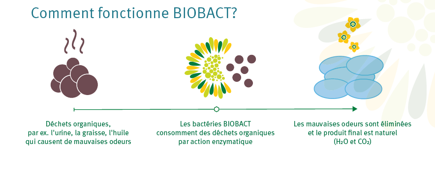 Gamme Biobact biotechnologie